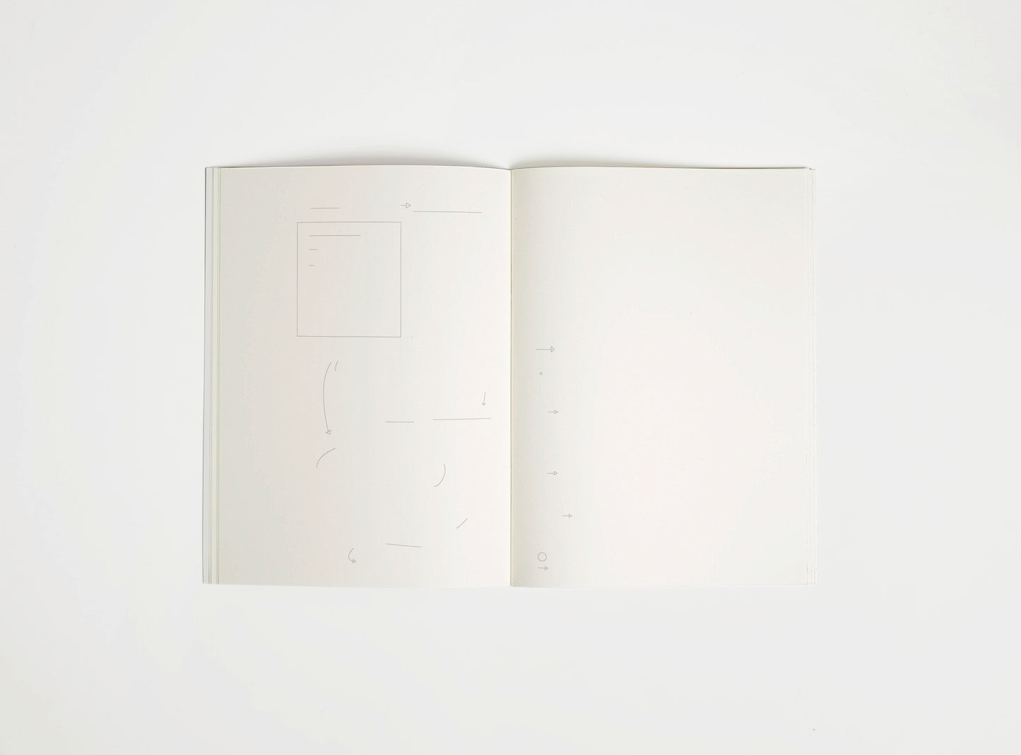Edition Julie Joliat x studio playground notebook